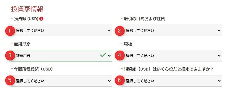 投資家情報の入力